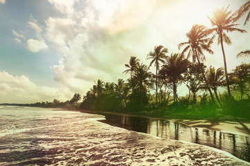 Obraz premium Tropical beach