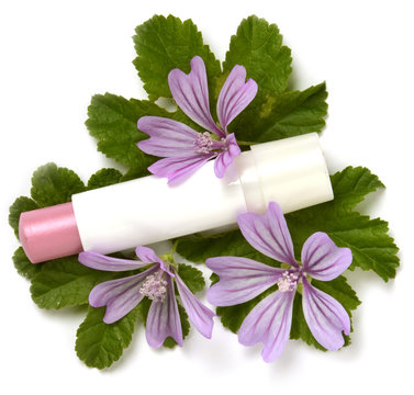 Lip balm Burrocacao Lippenpflegestift L&auml;ppbalsam مرهم الشفاه