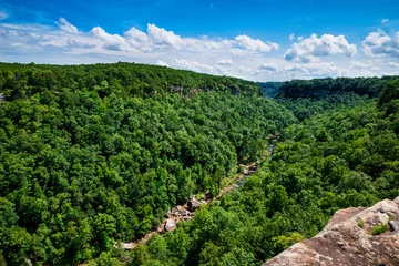 Papier Peint photo Lavable Canyon High view of Little River Canyon Federal Reserve in northern Ala