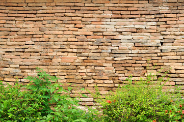 Brick walls and hedges