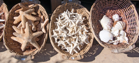 Shells