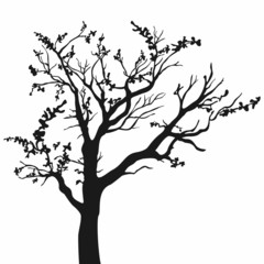 Tree silhouette with leaves on white background. - 67338949