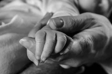 main de bébé