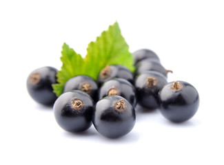 Black currant
