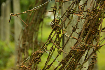 Rusty Barbed Wire Rolled