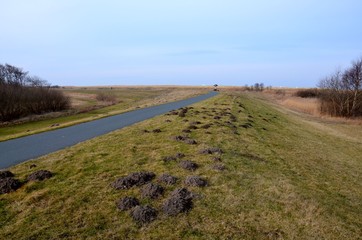 Fototapeta premium Radweg an der Ostseeküste