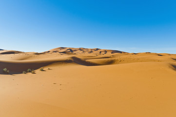 Fototapeta na wymiar Dunes of Erg Chebbi at Morocco