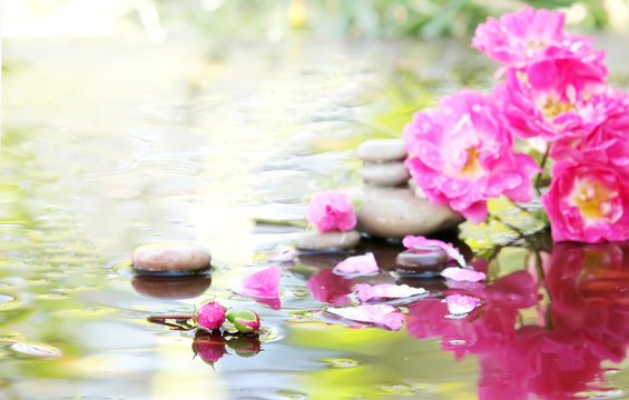 Spa stones with drops and rose in water