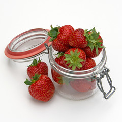 Erdbeeren - Fragaria