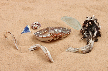 Beach still life