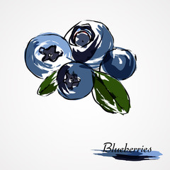 blueberries, huckleberries
