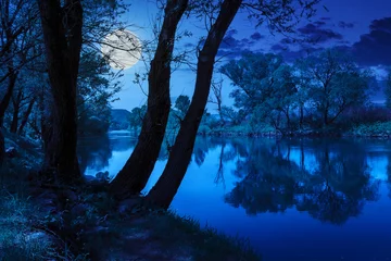 Fotobehang forest river with stones and grass at night © Pellinni