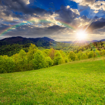 green grass on hillside meadow in mountain at sunset