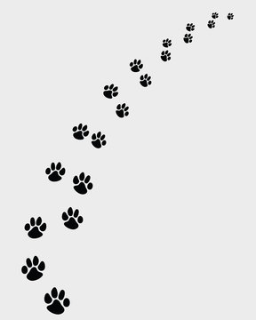 Black footprints of dogs, turn right -vector illustration