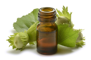 Hasselnød 헤이즐넛 Nocciola  بندق Noisette Hazelnut Avellana