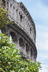 Obraz premium Colosseum Rome