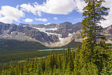 Canadian Rockies Panorama