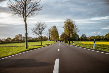 Fototapeta premium field road in Germany