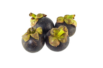 Fresh Mangosteen Fruit