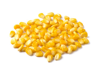 corn on white background