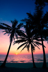 beach in sunset time.  palm trees silhouette on sunset tropical