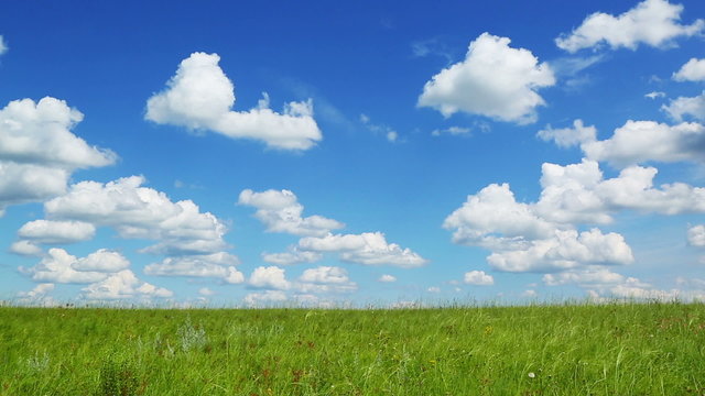 background with green meadow under blue sky with clouds