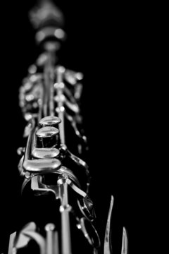 Fragment clarinet in black and white