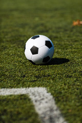 Fototapeta premium Soccer pitch