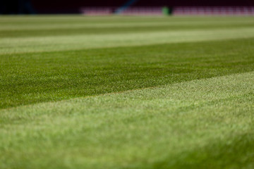 Soccer pitch © Mikkel Bigandt