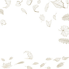Fall leaf skeletons autumn design template.