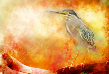 heron bird on branch. grunge