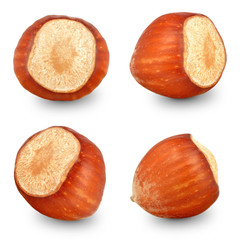 hazelnut