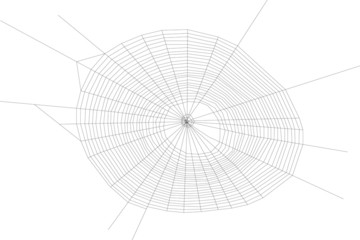 small black spider web illustration