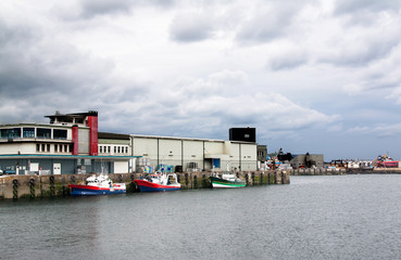 Obraz premium Port du Rosmeur et criée à Douarnenez , Finistère, Bretagne
