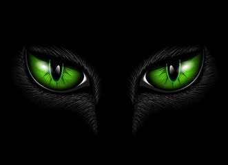 green cat eyes