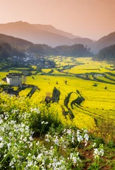 Fotobehang Rape flowers and Chinese ancient buildings in Wuyuan, China © 06photo