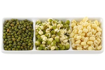 Dried and soaked Mung Bean (Green gram) sprouts