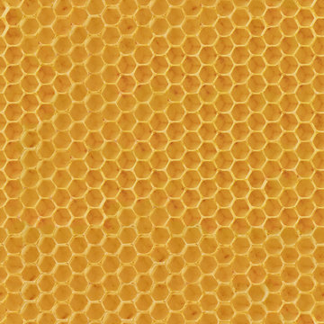 Realistic Seamless Texture of Honeycomb