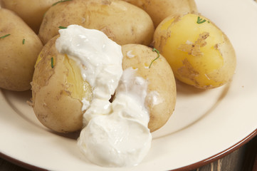 Boiled Young potatoes