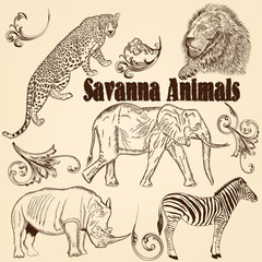 Fototapeta na wymiar Collection of vector animals African Savanna