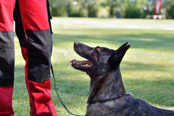 Schaefer steht vor Trainer