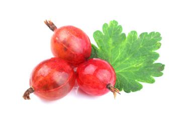 Red gooseberry fruit with leaf isolated on white