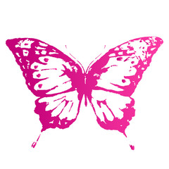 butterflies design