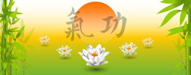 bambù, composizione, foglie