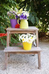 Beautiful flowers in pot, outdoors