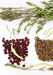 Traditional chinese herbal medicine ingredients, isolated