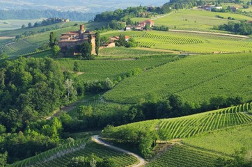 Barolo Castello di La Volta 08