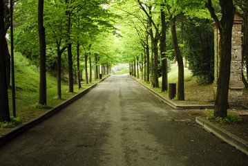 Green boulevard