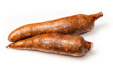 Cassava or Manioc roots (Manihot esculenta)