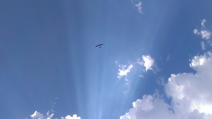 Free like a Bird